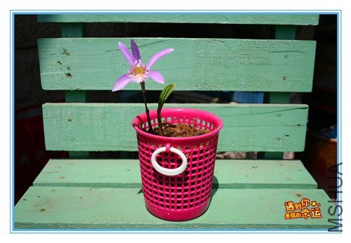 ��Ƭ 002_����.jpg