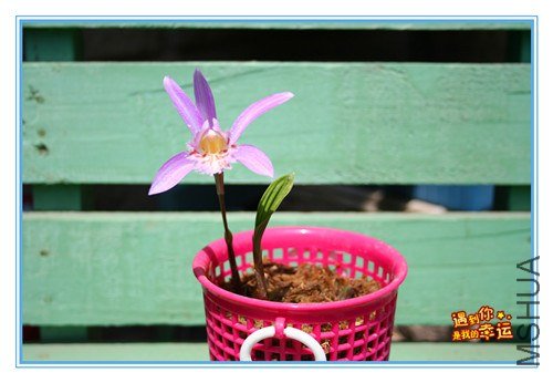 ��Ƭ 003_����.jpg