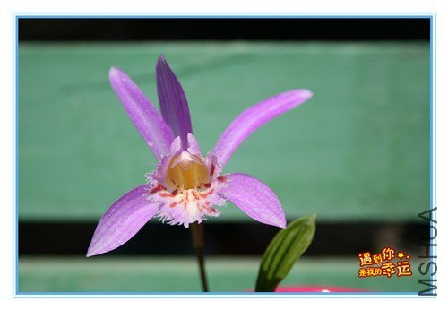 ��Ƭ 006_����.jpg