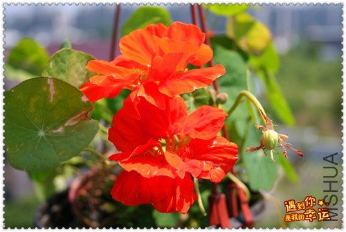 ��Ƭ 057_����.jpg