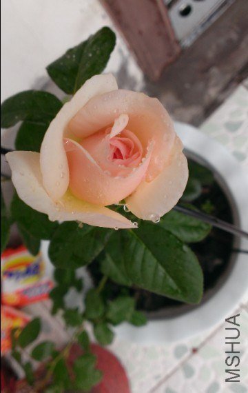 QQ��ͼ20130530100923.jpg