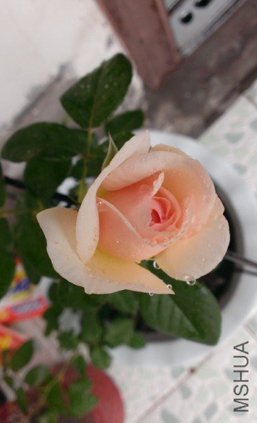QQ��ͼ20130530101006.jpg