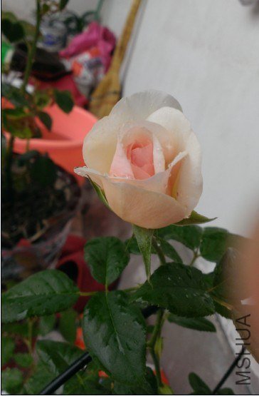 QQ��ͼ20130530101015.jpg