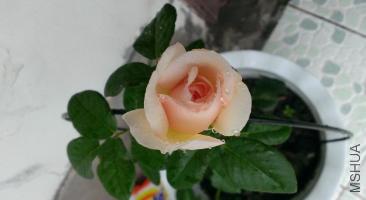 QQ��ͼ20130530101025.jpg