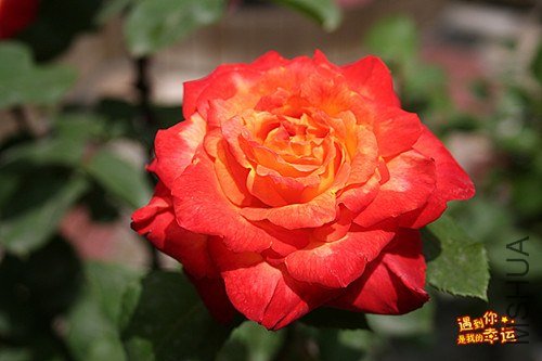 ��Ƭ 028_����.jpg