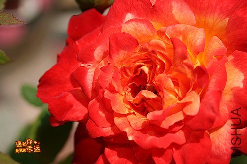 ��Ƭ 035_����.jpg