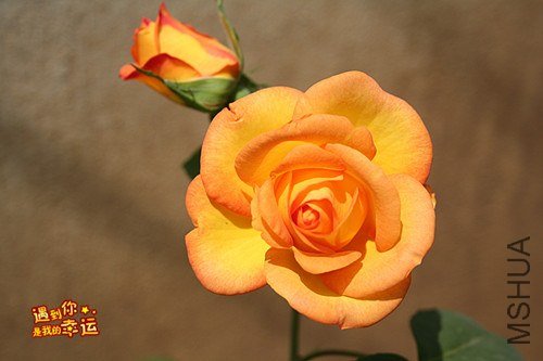 ��Ƭ 090_����.jpg