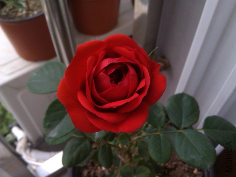 IMAG0715.jpg