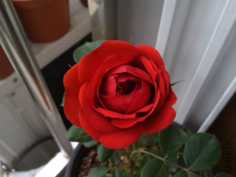 IMAG0717.jpg