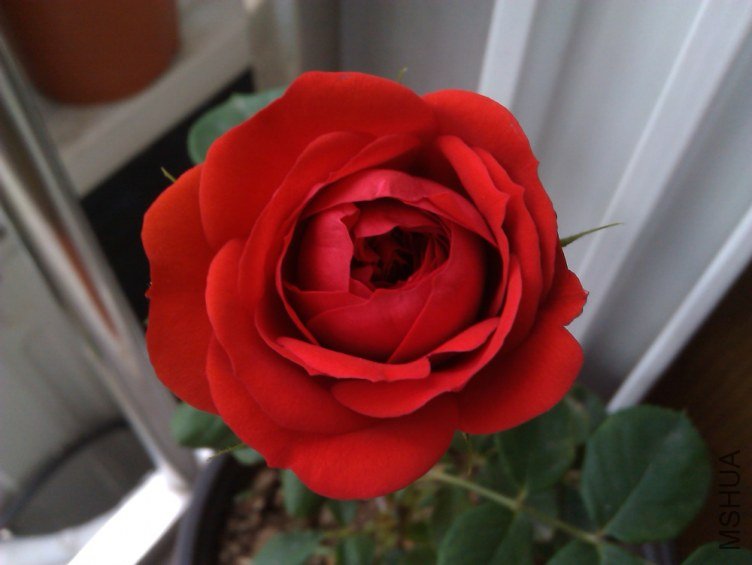 IMAG0718.jpg