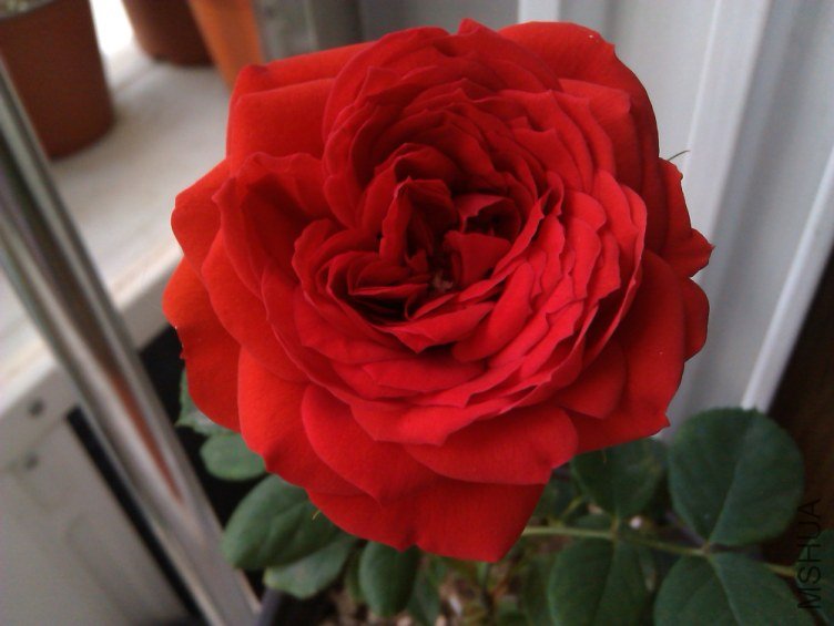 IMAG0719.jpg