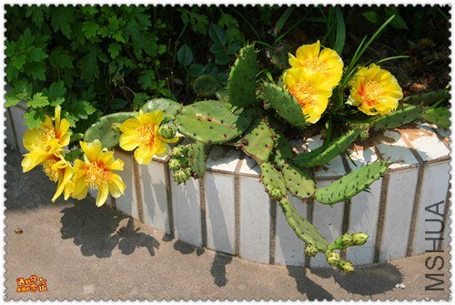 ��Ƭ 008_����.jpg