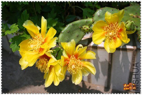 ��Ƭ 009_����.jpg