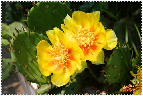 ��Ƭ 011_����.jpg