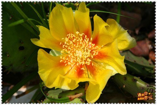 ��Ƭ 014_����.jpg