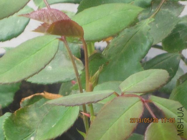 �� ɢ�� 005_1.jpg