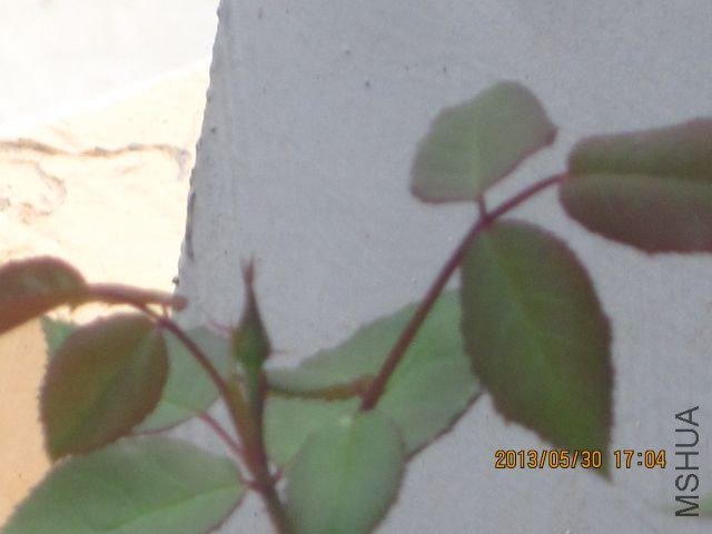 �� ɢ�� 001_1.jpg