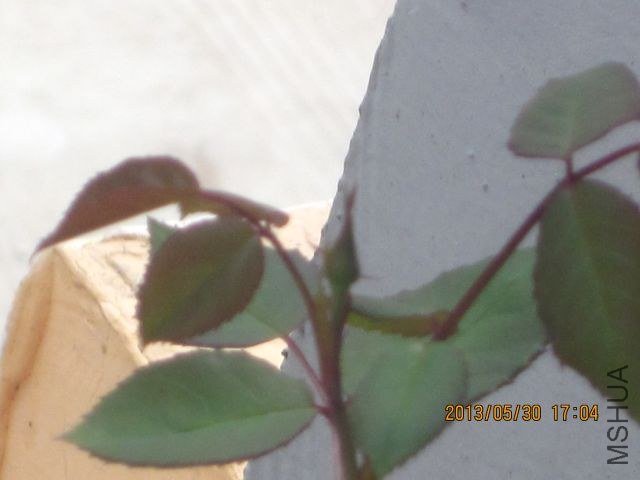 �� ɢ�� 002_1.jpg