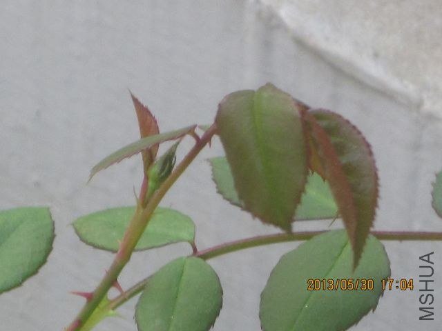 �� ɢ�� 003_1.jpg