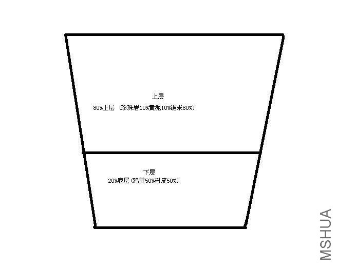 01.JPG
