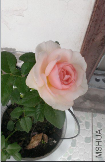 QQ��ͼ20130531090939.jpg