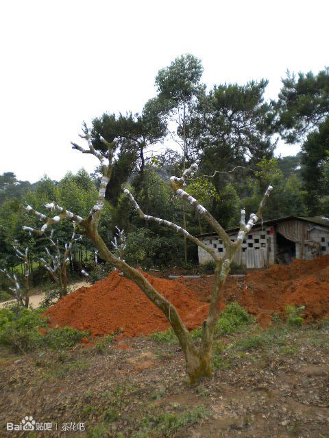 cefc1e178a82b9019b12c786728da9773812efcc.jpg