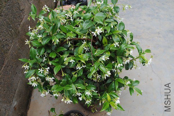 DSC_0266_����.jpg