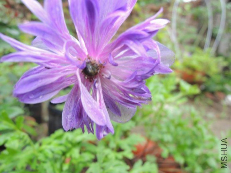 DSCN0974.jpg