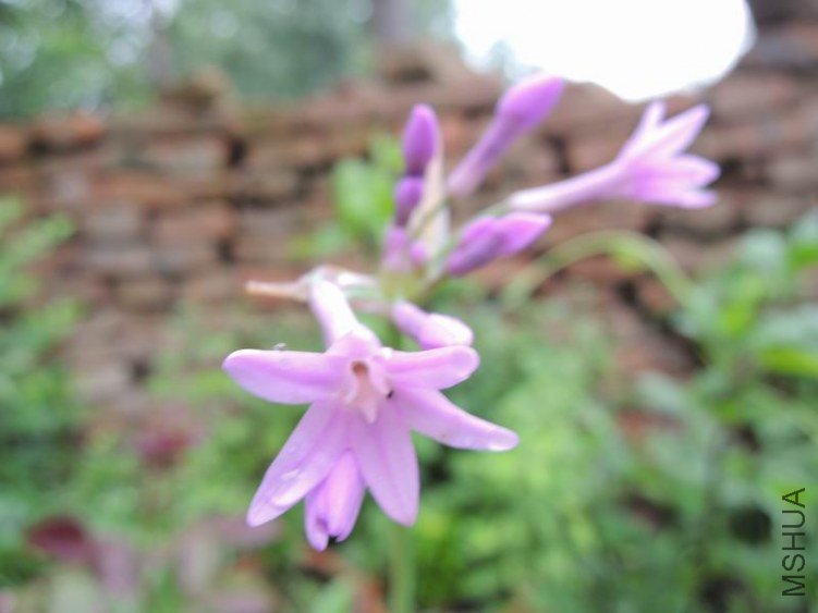 DSCN0969.jpg