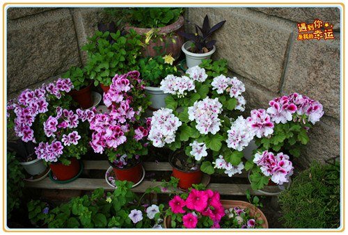 ��Ƭ 012_����.jpg