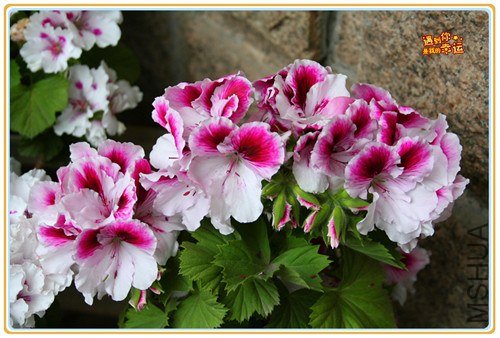 ��Ƭ 014_����.jpg