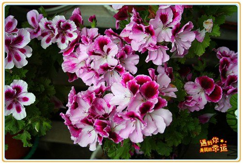 ��Ƭ 015_����.jpg