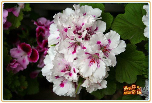 ��Ƭ 018_����.jpg