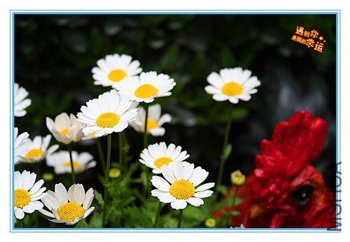 ��Ƭ 093_����.jpg