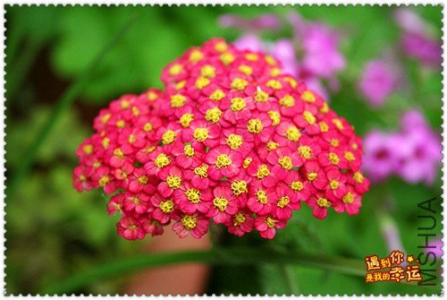 ��Ƭ 094_����.jpg