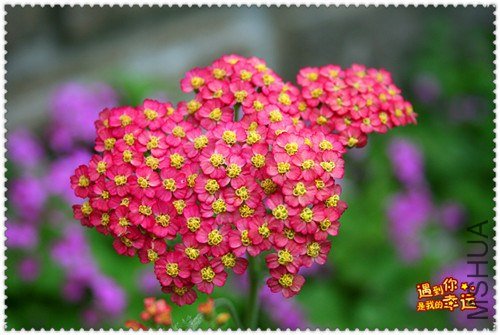 ��Ƭ 097_����.jpg