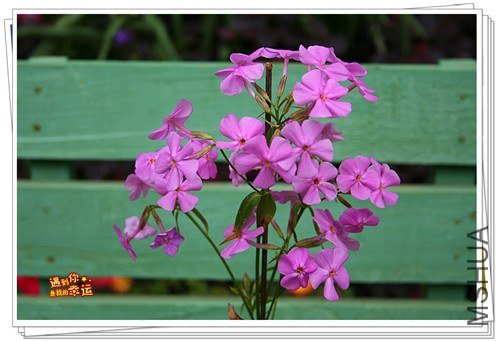 ��Ƭ 169_����.jpg