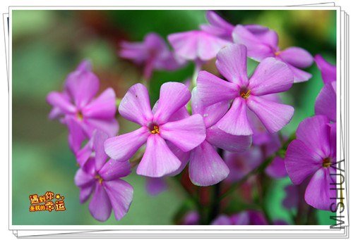 ��Ƭ 171_����.jpg