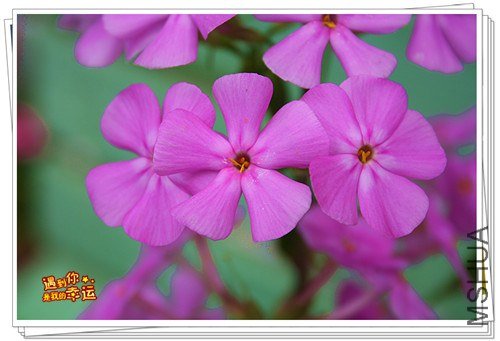 ��Ƭ 173_����.jpg