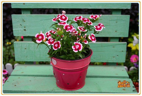 ��Ƭ 066_����.jpg