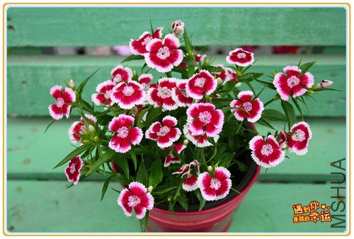 ��Ƭ 068_����.jpg