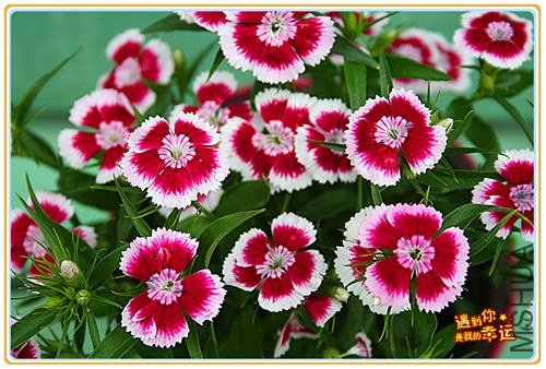 ��Ƭ 070_����.jpg