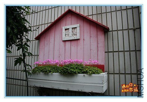 ��Ƭ 098_����.jpg