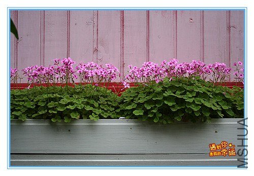 ��Ƭ 100_����.jpg