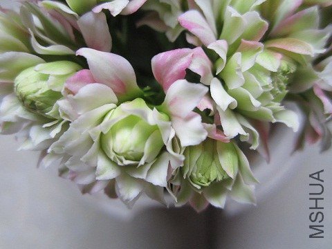 IMG_1676.JPG