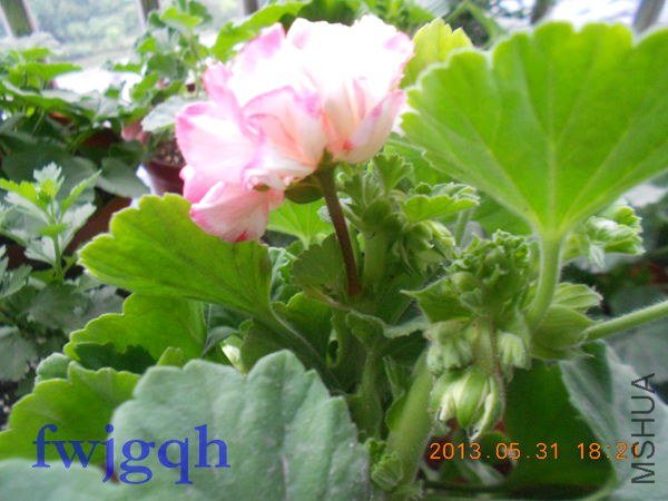 ��Ƭ 154_����.jpg