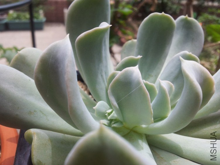 �������� ���