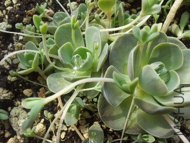 ���˴����Ժ� �Ϳ�