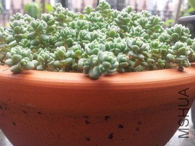 ���ڳ���һ����