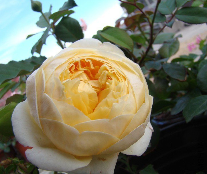 QQ��ͼ20130529085740.jpg